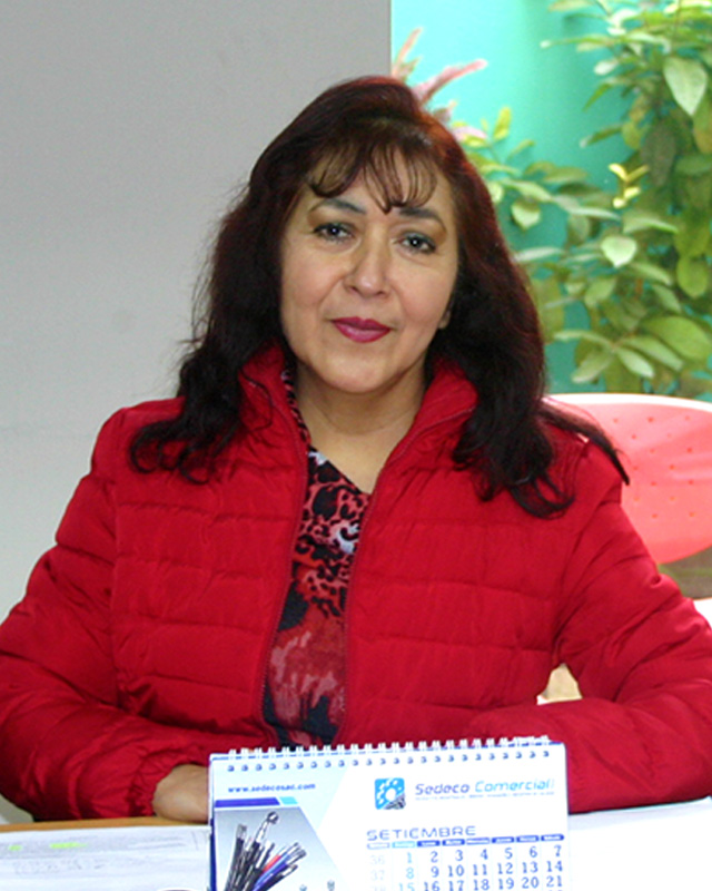 VentasFiltros 10